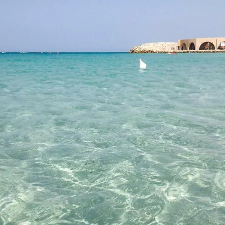 A Pochi Passi Dal Mare - Azzurro Del Mare - Holiday home